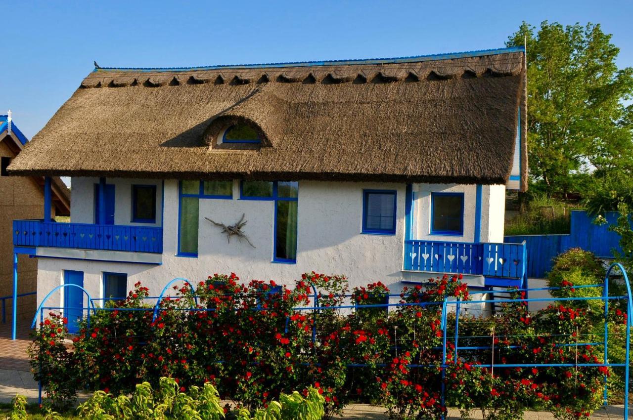 Nena Art Resort Dunavatu de Jos Exterior foto
