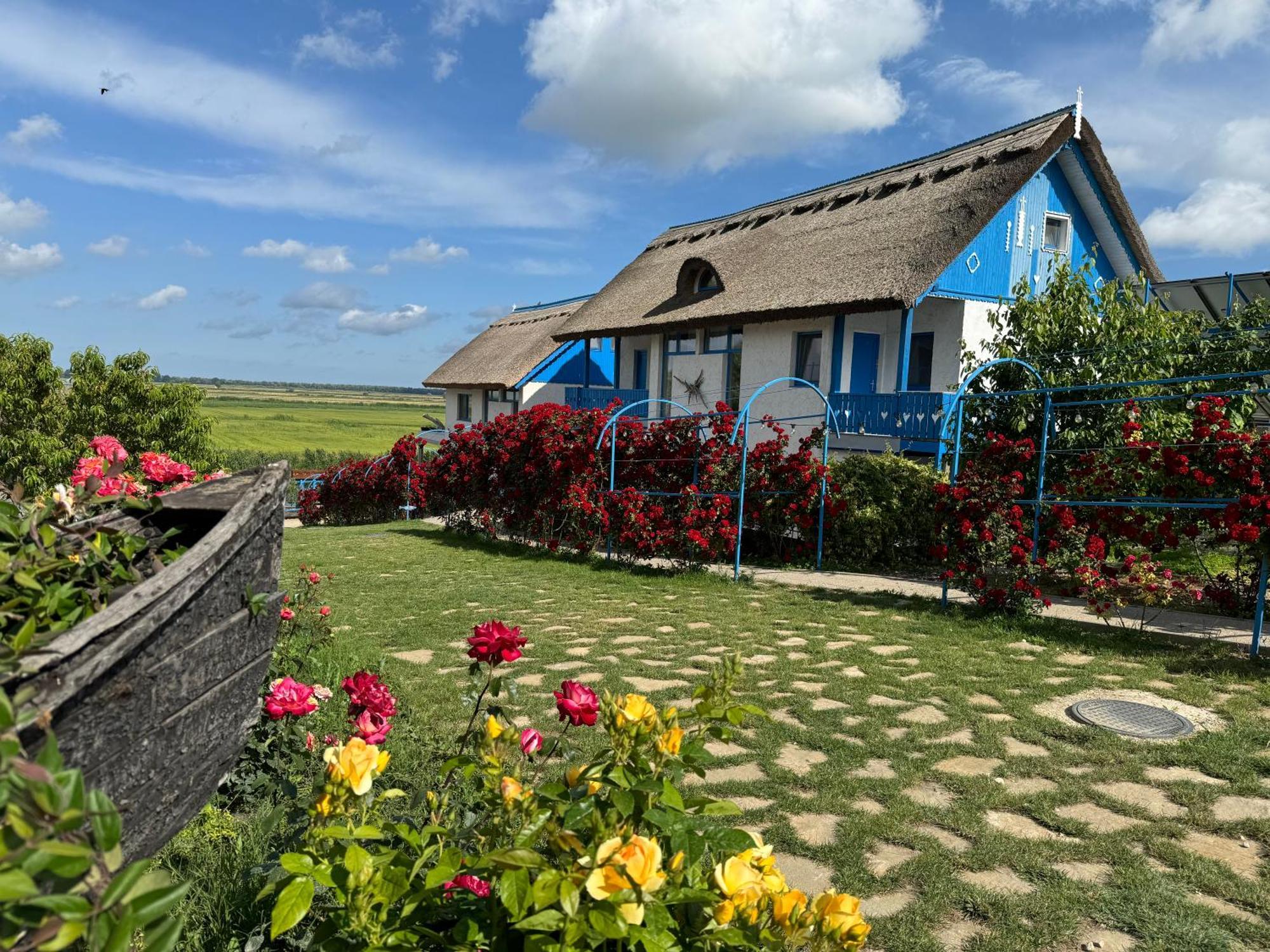 Nena Art Resort Dunavatu de Jos Exterior foto